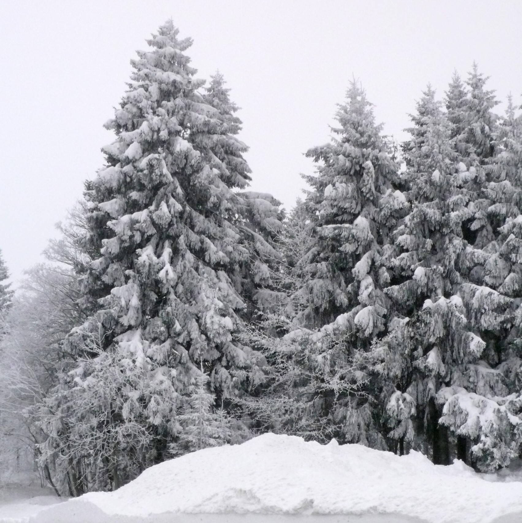 Furtwangen im Schnee Lisa Unterwegs